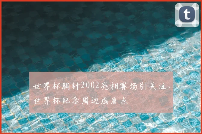 世界杯胸针2002亮相赛场引关注,世界杯纪念周边成看点