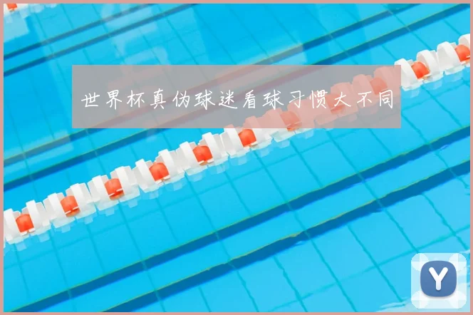 世界杯真伪球迷看球习惯大不同