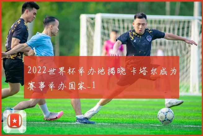 2022世界杯举办地揭晓 卡塔尔成为赛事举办国家_1