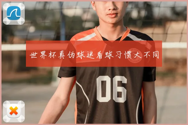 世界杯真伪球迷看球习惯大不同