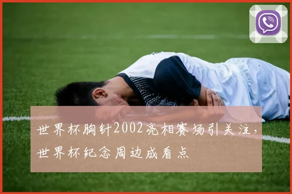 世界杯胸针2002亮相赛场引关注，世界杯纪念周边成看点
