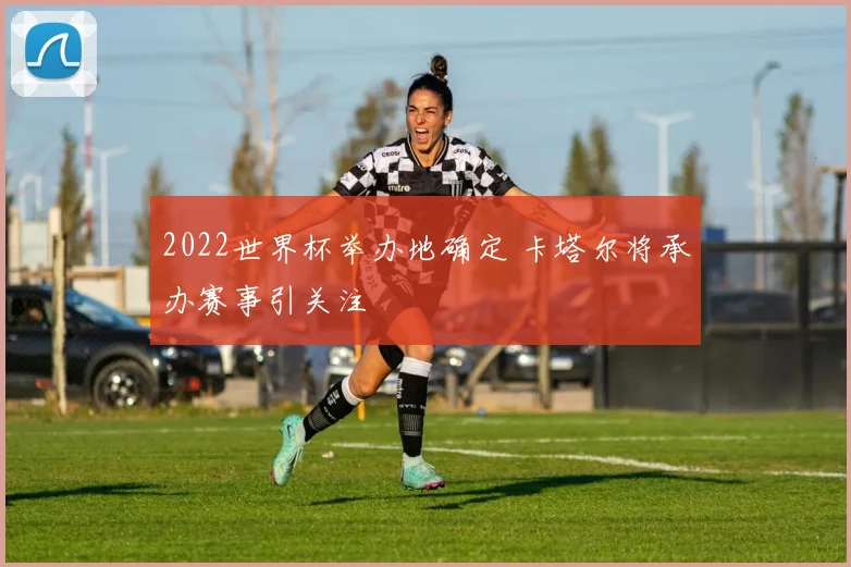 2022世界杯举办地确定 卡塔尔将承办赛事引关注