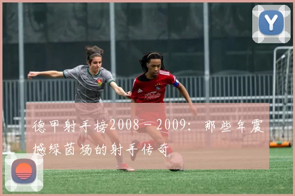 德甲射手榜2008 - 2009：那些年震撼绿茵场的射手传奇